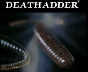 DEARH ADDER3