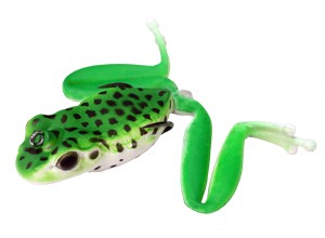 BABY DIVING KAHARA FROG 5