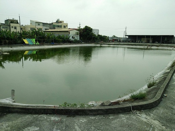 彰化bass管池初體驗 好家在魚有捧場xd