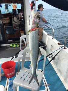 ladyfish1