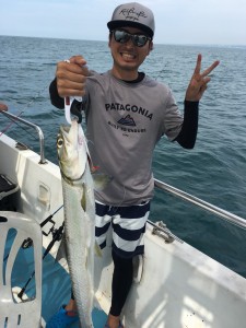 ladyfish2